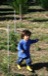 resIMG_20121124_3798.JPG